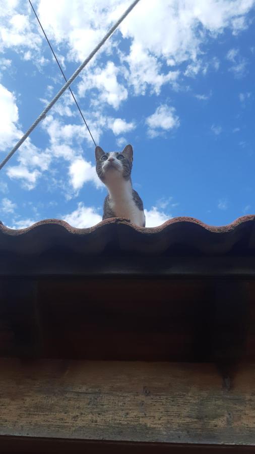 Appartement Voula Ágios Geórgios